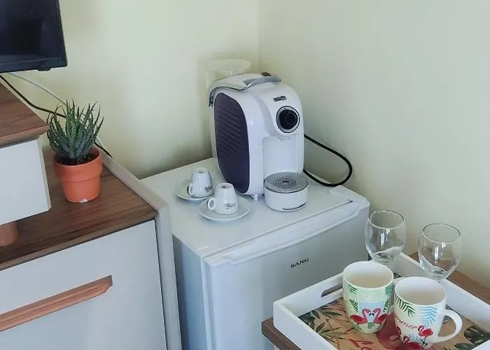 Family Neptun - מלון