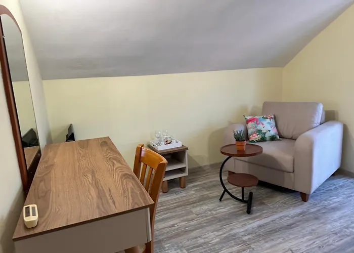 Family Neptun - מלון